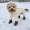 ArticPaws Dog Winter suit